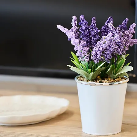 Bicocca Elyon 아파트 *